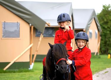  Glamping à la ferme à cheval et à poney - 9