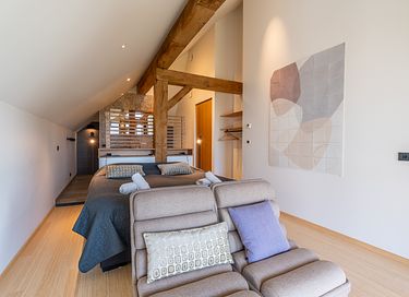 Wellness villa Texel with hot tub and sauna - 20