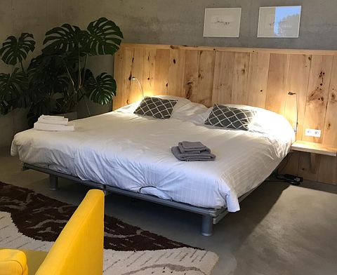 Design B&B in de uiterwaarden van Nijmegen - 3
