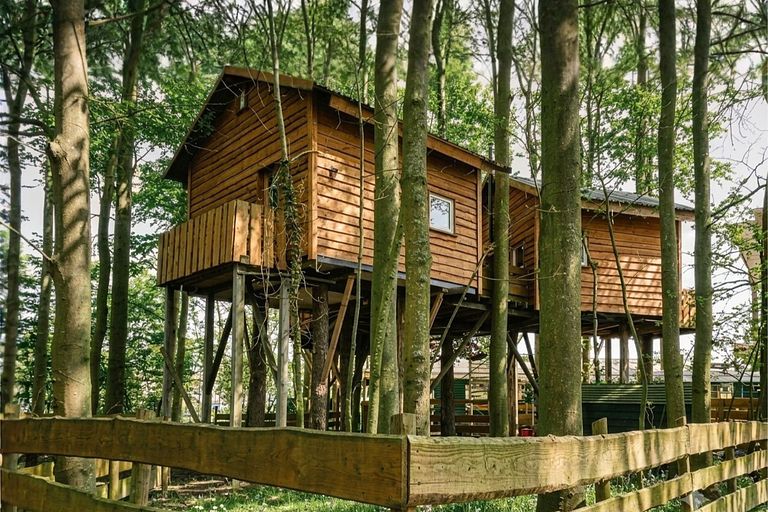 Tree villa for 6 persons - 1