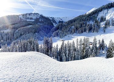 Vakantiehuis in Mayrhofen (Tirol) - 8