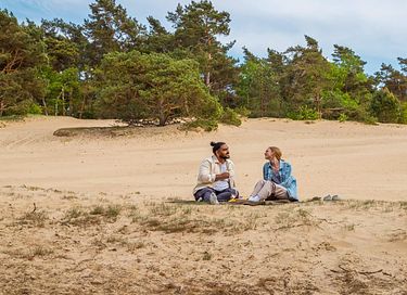 House (6p) on the Veluwe (dog allowed) - 29