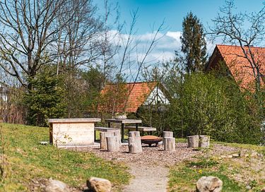 Boomhut (6p) in het Harz gebergte - 36