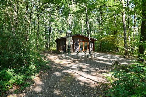 Forest cabin in the Ardennes (4p) - 2