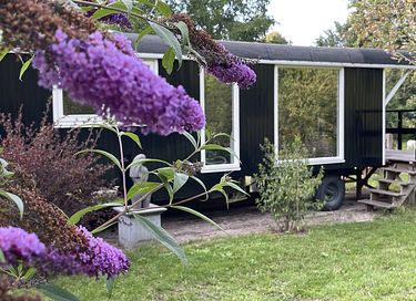 Romantic wagon in green surroundings - 8
