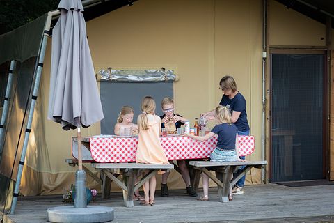 Luxury glamping tent in Twente - 3