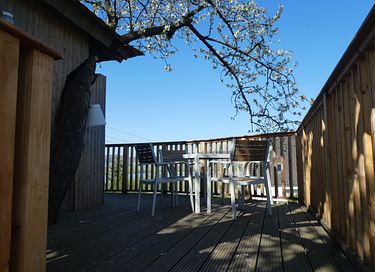 Prachtige boomhut in een oude kersenboom - 15