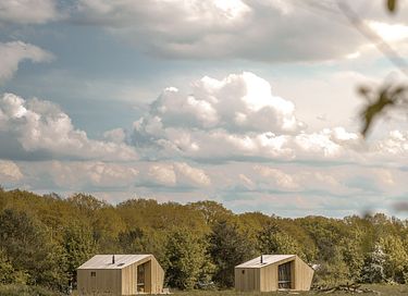 Tiny House mit Whirlpool in den Wäldern - 15