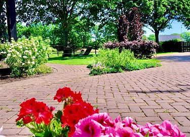 Sfeervolle B&B met uitzicht op paardenweide - 20