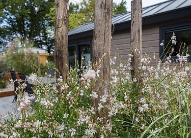 Petite maison proche de la nature à Veluwe - 36