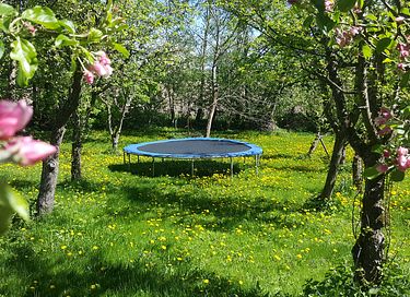 Rustic stay in rural setting - 22