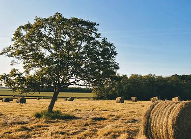 Duurzaam tiny house op het Franse platteland - 11