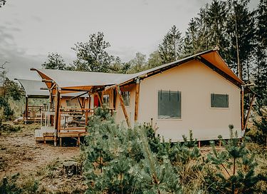 Safari lodge op unieke plek in Nederland - 13