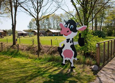 Glamping auf der Dairy & Calf Farm - 10