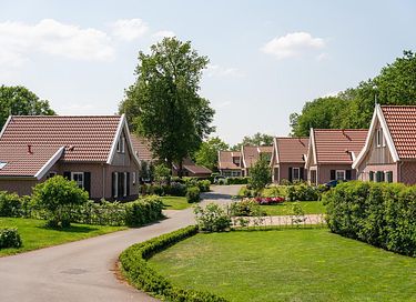 Vakantiehuis met trampoline en royale tuin - 21