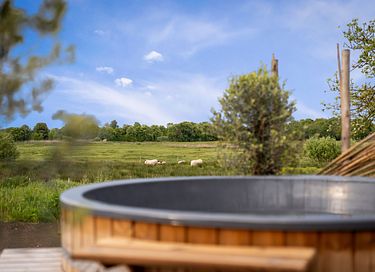Ruime woning in Twente met optionele wellness - 26