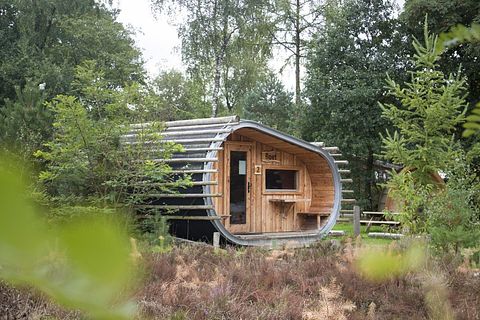 Refuge unique pour randonneurs sur la Veluwe (4p) - 3