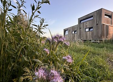 Moderne tiny house på den belgiske landsbygd - 17