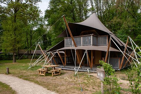 De koning onder de glamping tenten!  - 2