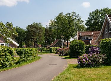 Huisdiervriendelijk verblijf bij het water - 32