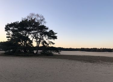 Pipowagen op de Veluwe, nabij heide & bos - 21