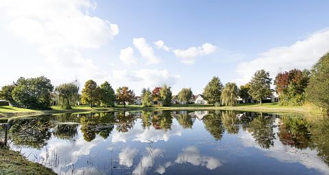 Hondvriendelijke vakantiehuis in Limburg - 2