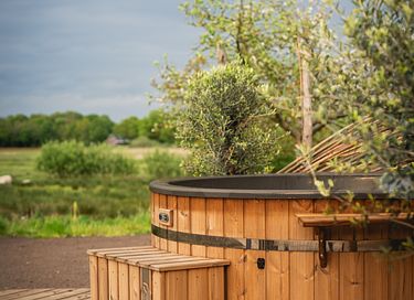 Ruime woning in Twente met optionele wellness - 2