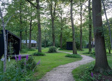 Tiny house in Overijssel (hond toegestaan) - 9
