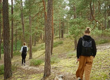 Roulotte (2p) dans la nature - 11