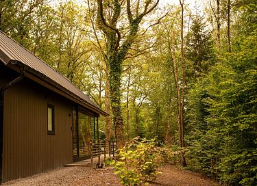 Luxury cabin with private sauna in the Ardennes - 43