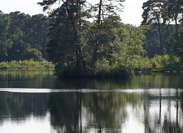 Stijlvol vakantiehuis in prachtige omgeving - 27