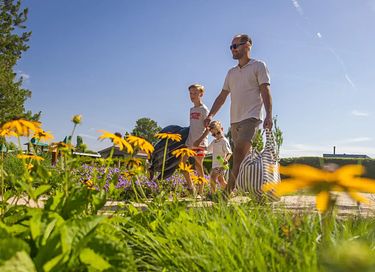 Winzige Lodge für 4 Personen in der Natur - 23