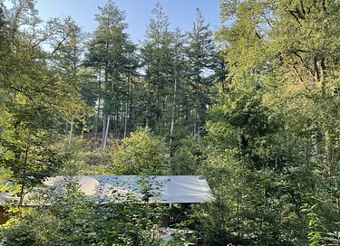 Luxe glampingtent in het bos met buitenbad - 9