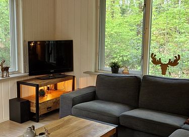 Maison dans la forêt avec sauna à Vechtdal - 5