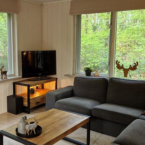 Maison dans la forêt avec sauna à Vechtdal - 5