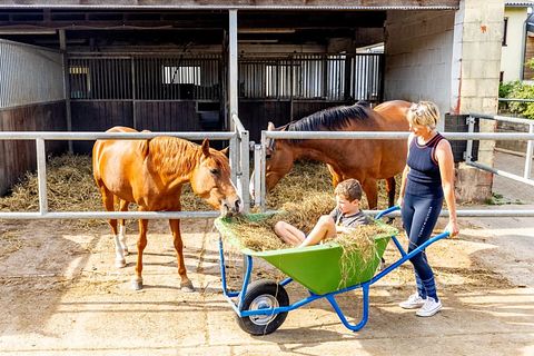 Glamping dans une ferme équestre et laitière - 5