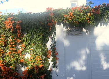 Luxury apartment near Málaga and by the sea - 33