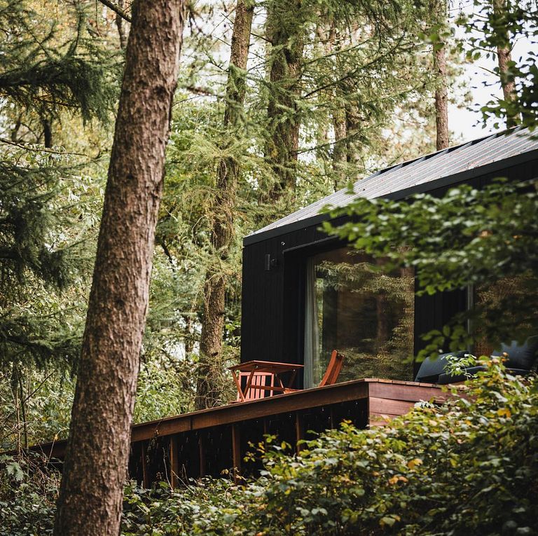 Romantic cabin at a forest edge - 1