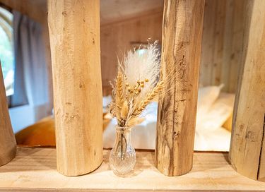 Treehouse (2p) in the Ardennes with wellness - 12