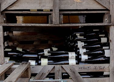 Stay in the vineyards of Burgundy  - 19