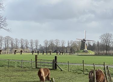 Landelijk huisje met complete privé wellness - 16