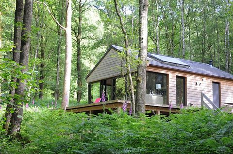 Houten boshuisje in de Ardennen (4p) - 2