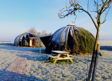Special stay in a thatch igloo - 6
