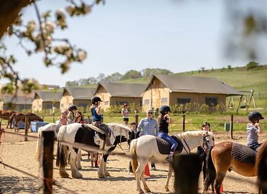 Glamping on Horse & pony farm glamping - 6
