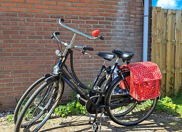 Pipowagen (2p) met hottub op een boerenerf - 34