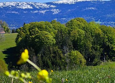 Chalet de charme avec wellness en Bavière - 44
