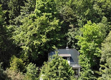 Ruhig gelegenes Jagdhaus in der Eifel - 16
