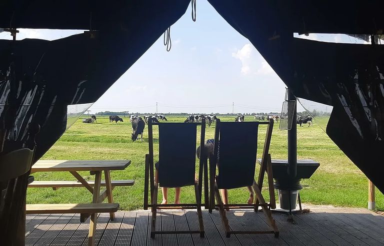 Übernachten inmitten der Kühe in Groningen - 1