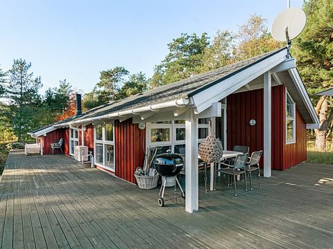 Gezellig vakantiehuis midden in het bos - 4