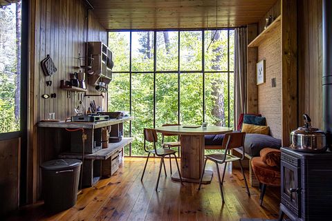 Treehouse in the forest - 3